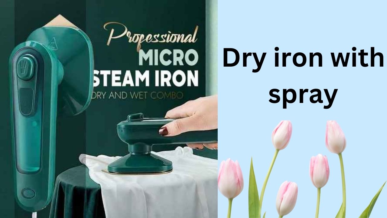 Dry iron with spray